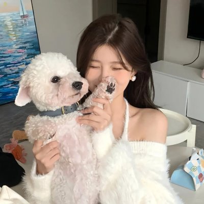史上最强男主角